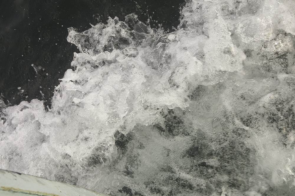 crw_5908.jpg