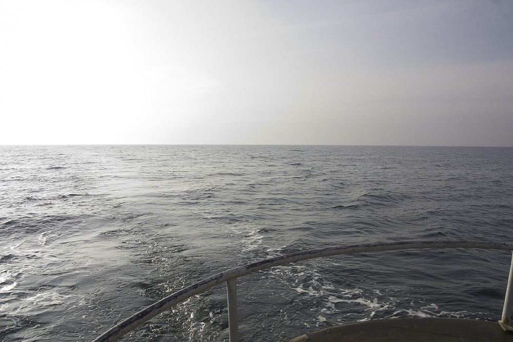 crw_5927.jpg