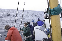 crw_5852.jpg