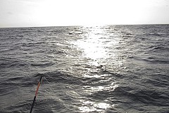 crw_5857.jpg
