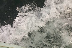 crw_5908.jpg