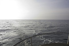 crw_5927.jpg