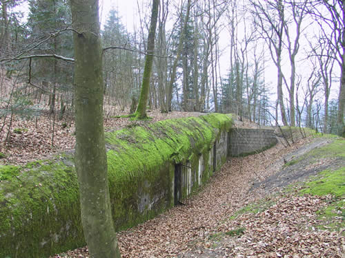 bunker1.jpeg