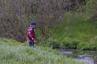 crw_0934
