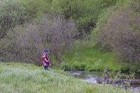 crw_0939