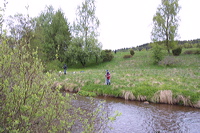 crw_0954