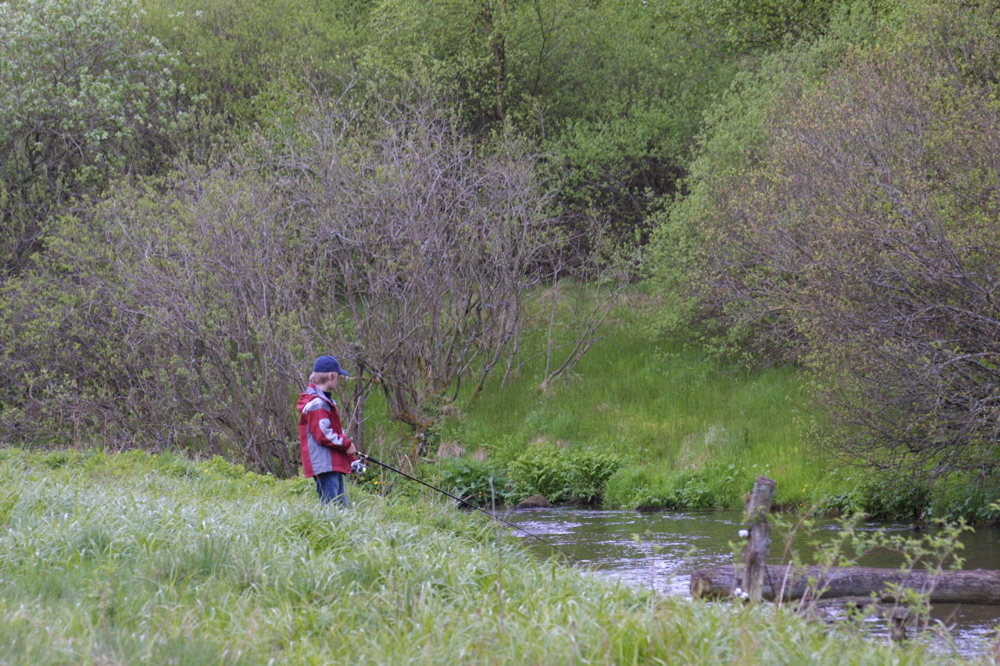 crw_0939.jpg