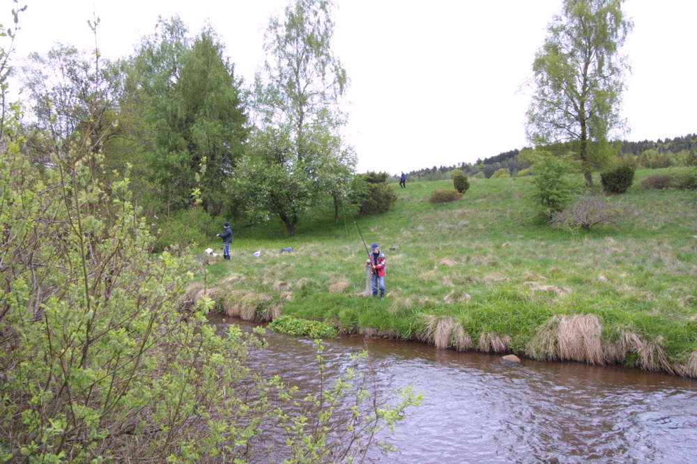 crw_0954.jpg