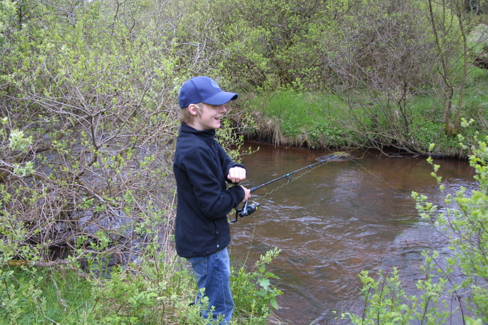 crw_0969.jpg