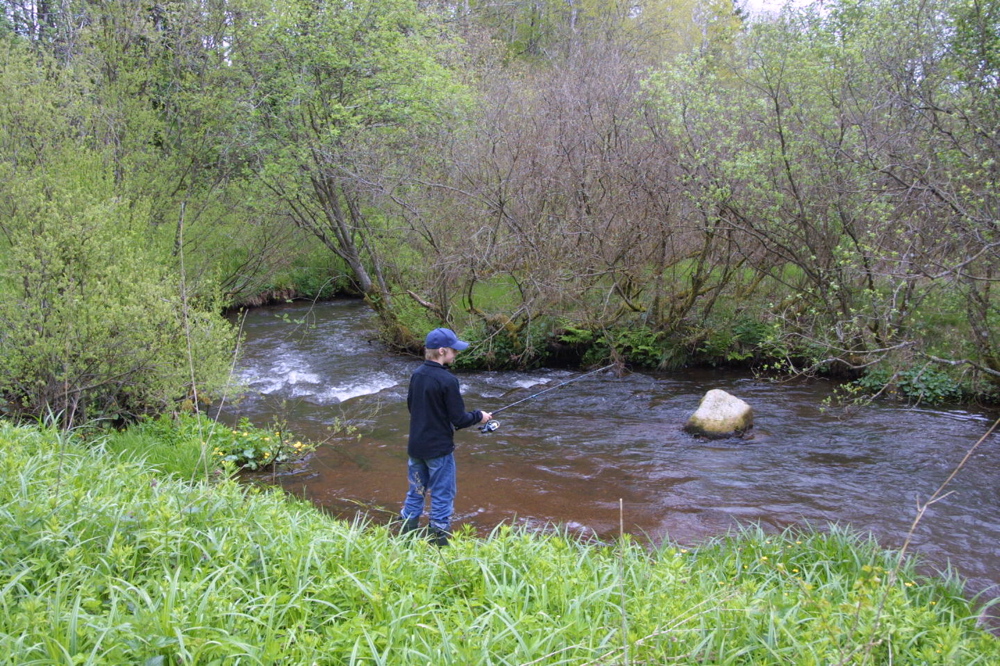 crw_0984.jpg
