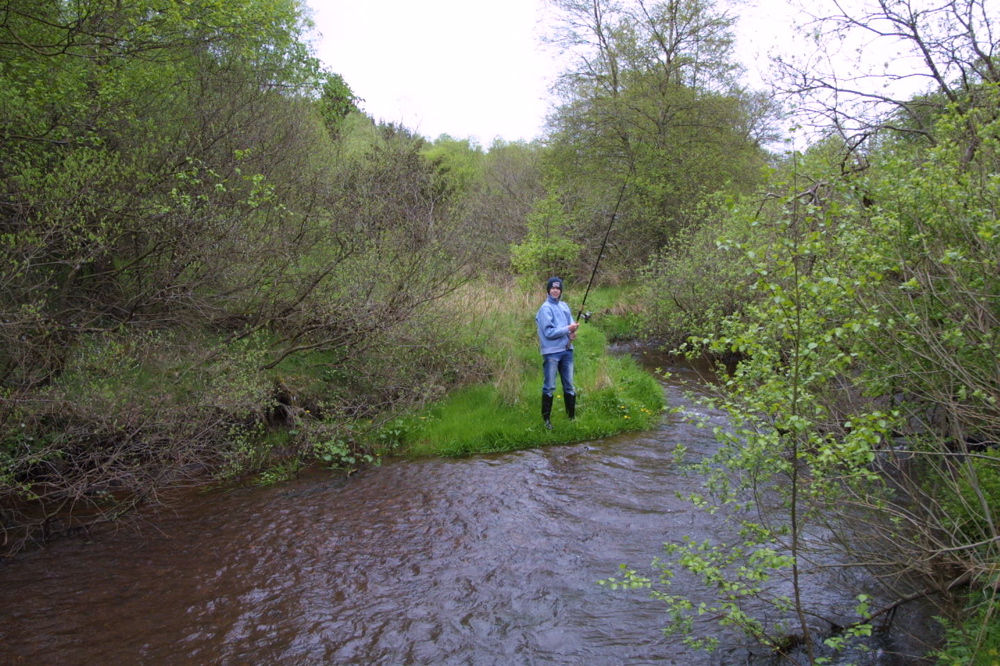 crw_0985.jpg