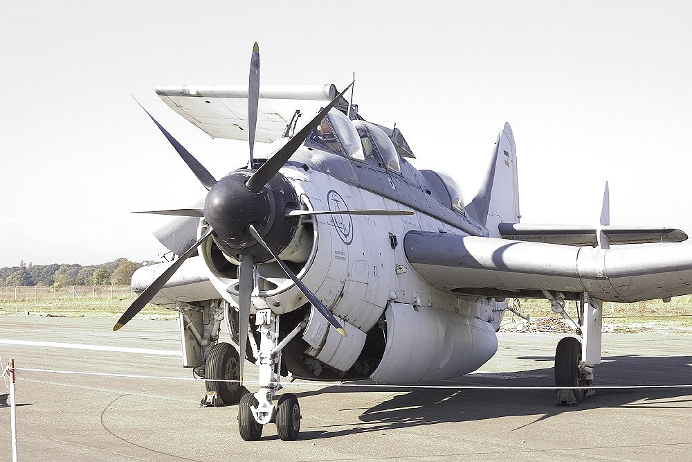 crw_5699.jpg