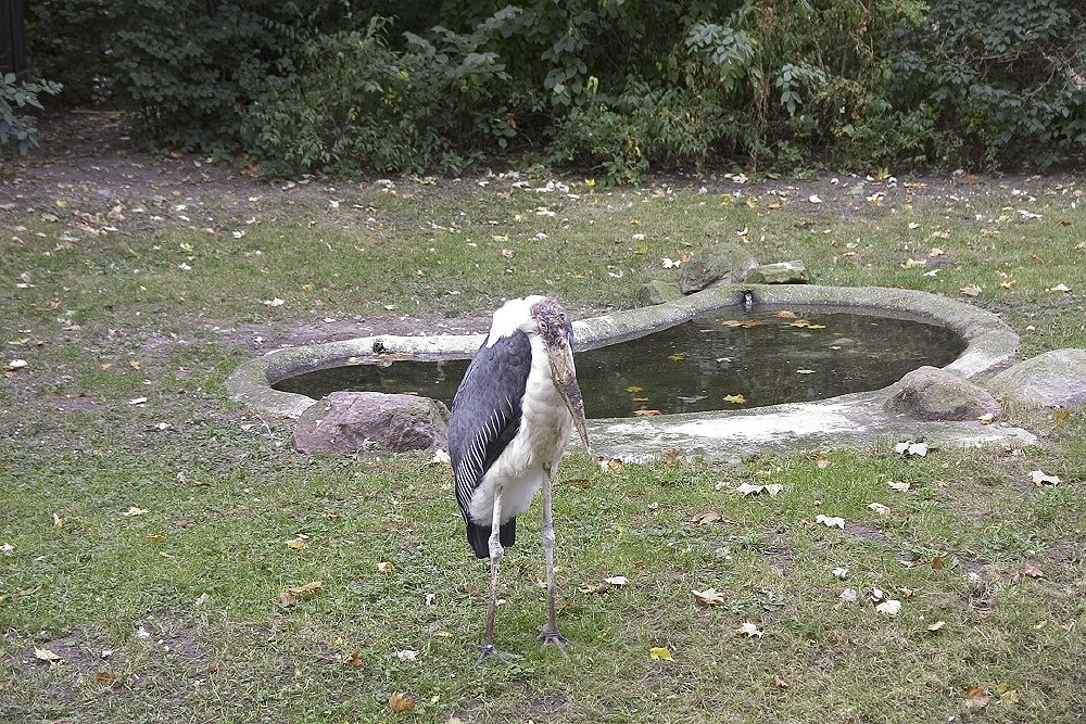 crw_5605.jpg