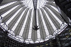 crw_5551.jpg