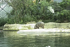 crw_5567.jpg