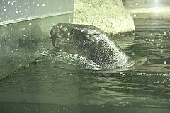 crw_5571.jpg