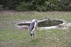 crw_5605.jpg