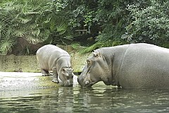 crw_5579.jpg
