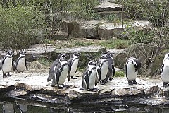 crw_5594.jpg