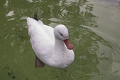 crw_5597.jpg