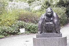 crw_5616.jpg
