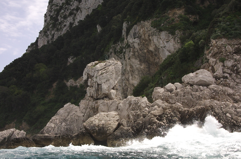 CRW_9845