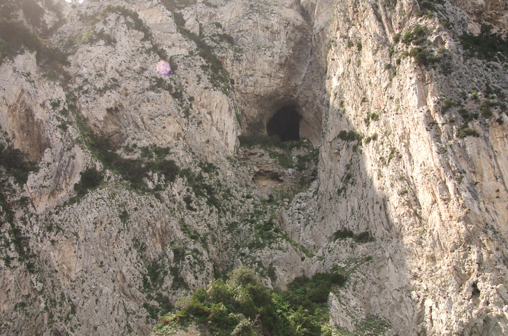 CRW_9854