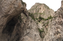 CRW_9875