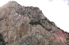 CRW_9851