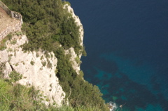 CRW_9801