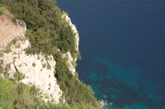 CRW_9802