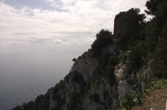 CRW_9830
