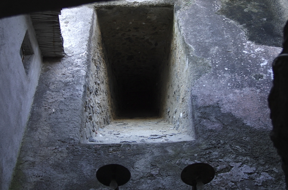 CRW_0354