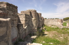 CRW_0557