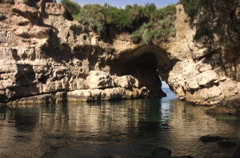 CRW_9585
