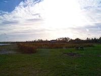 l1010364_out