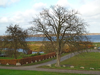l1010374_out