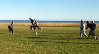 l1010446_out