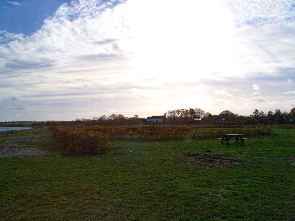 l1010364_out.jpg