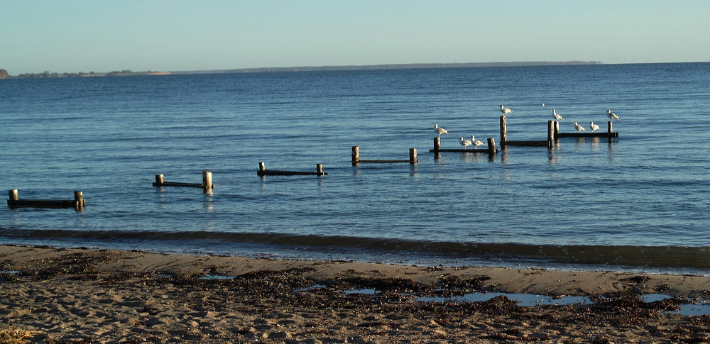 l1010407_out.jpg