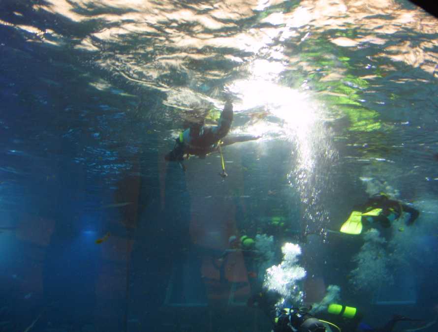 img_5280.jpg