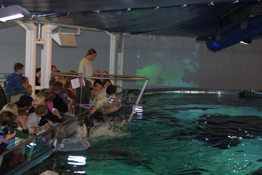 img_5397.jpg