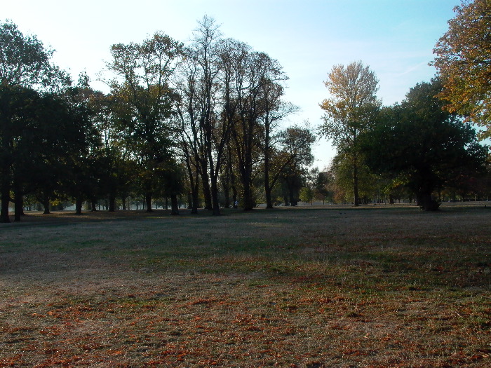 L1000461.JPG