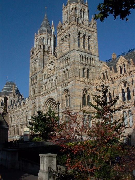 L1000470.JPG