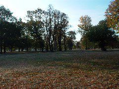 L1000461.JPG