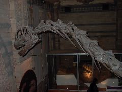 L1000471.JPG