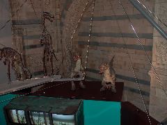 L1000474.JPG