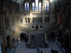 L1000476.JPG