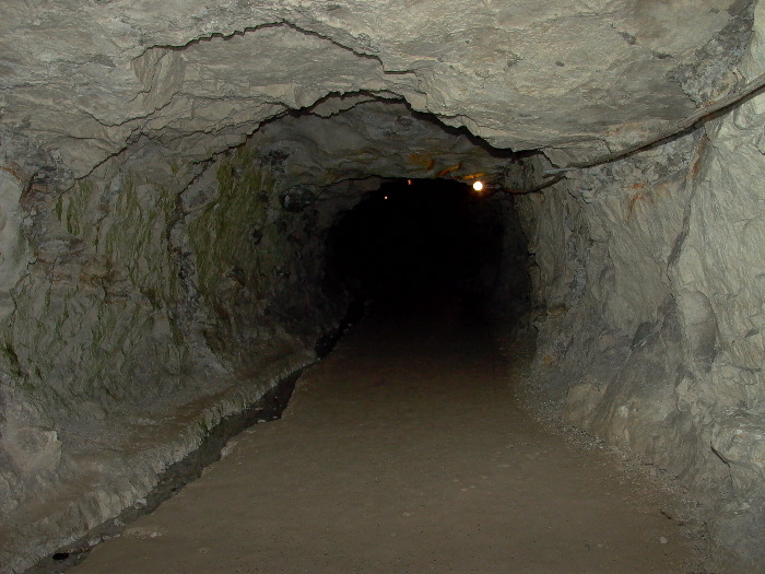 L1000044