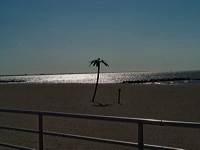 _1010038_out
